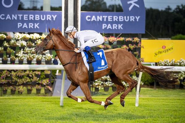 Powerhouse bolts in at Canterbury - image Bradley Photos