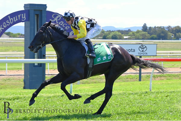 Powers of Opal carries the famous Think Big Stud colours to victory at Hawkesbury  - image Bradley Photography