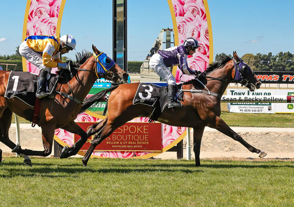 Press Charges fights gamely to claim the Listed ILT Ascot Park Hotel Southland Guineas (1600m) Photo: Monica Toretto