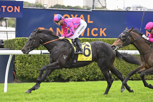 Prestar salutes at Randwick - image Bradley Photography