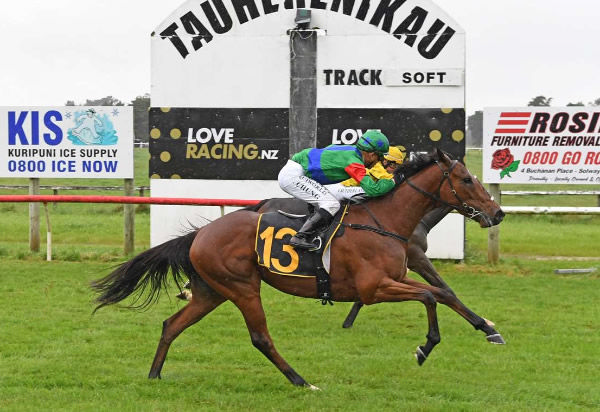 Prestissimo winning the Wright Cabins (1300m) at Tauherenikau on Sunday.   Photo: Peter Rubery (Race Images Palmerston North) 