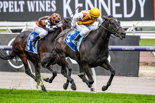 Pretty Brazen wins the G2 Let's Elope and will be chasing her first G1 this Saturday - Racing Photos 