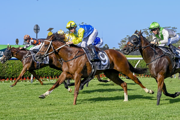 Pretty Powerful makes it a winning return at Warwick Farm - image Bradley Photos