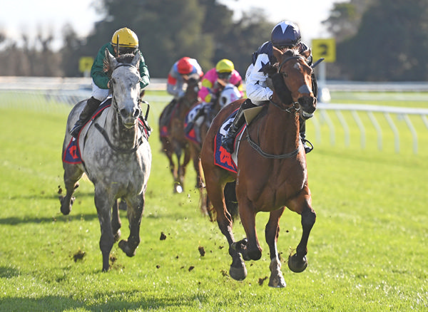 Pride Of Aspen winning at Otaki on Tuesday.  Photo: Peter Rubery (Race Images Palmerston North)