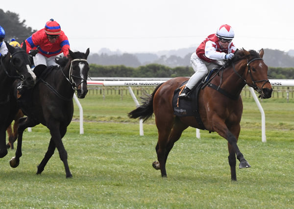 Pride Of Aspen winning at Hawera on Sunday.  Photo: Jane Davidson (Race Images Palmerston North)