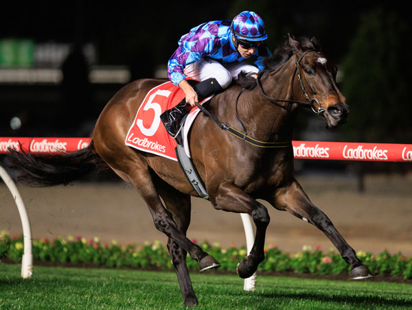 Pride of Jenni scores a glorious win - image Grant Courtney