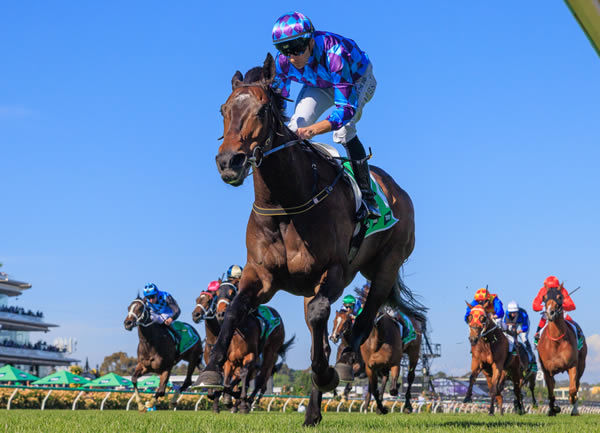 Pride of Jenni in full flight is a thing of beauty - image Grant Courtney