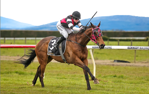 Prince Alby was one of five winners for Kelvin Tyler at Riverton on Sunday, taking out the Sparrow Logging Handicap (2147m).   Photo: Monica Toretto