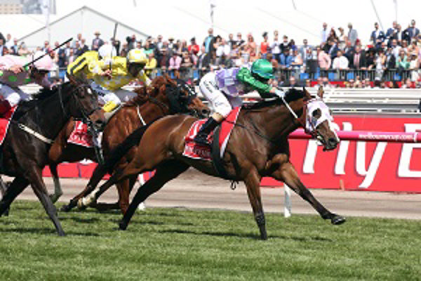 Prince of Penzance (NZ) won the 2015 Melbourne Cup.
