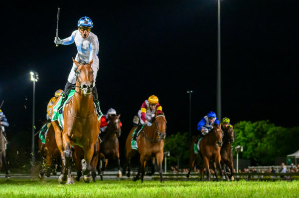 Private Harry upstages Golden Slipper winner Lady of Camelot to win the $3million Sunlight Plate - image  Inglis