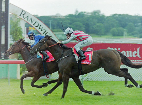 Private Steer runs past Grand Armee to win the 2004 Doncaster Handicap - image Steve Hart. 