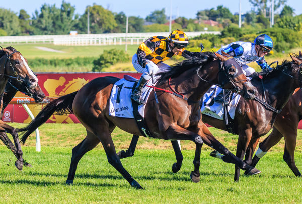 Probabeel has pulled up with a suspensory ligament injury following her brilliant win last Saturday - image Grant Courtney.