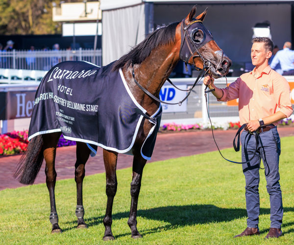 A good day for NZ bred mares at Caulfield (image Grant Courtney)