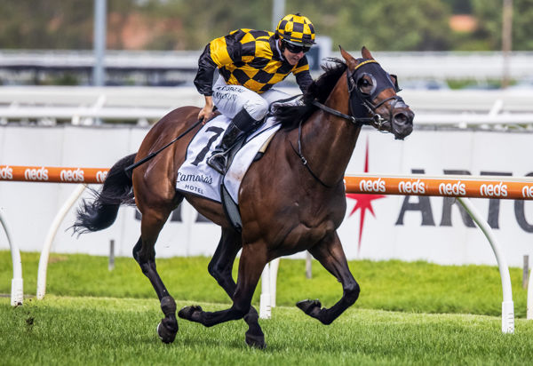 A third Group 1 for Probabeel (image Grant Courtney)