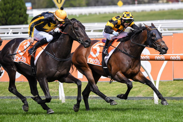 Probabeel on the inside wins the G1 Might and Power Stakes - image Racing Photos