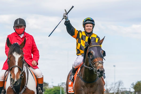 Probabeel is the 2021 NZ Horse of the Year - image Racing Photos