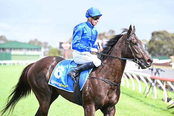 Connections Feel 3yo Lonhro Proficient Will Appreciated Ground - Image Pat Scala/Racing Photos