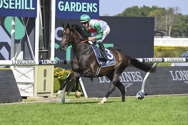 Profondo will stand at a fee of $17,500 plus GST
