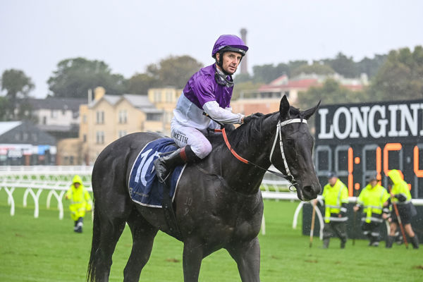 Christian Reith back in the limelight with Promitto (image Steve Hart)