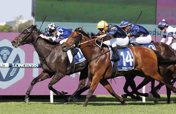 Protagonist (Fr) wins the G3 Sky High Stakes - image Steve Hart