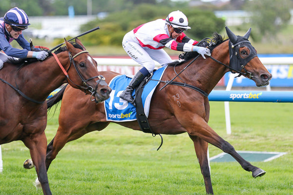 Proved made it six wins from seven with a decisive victory in the A$200,000 Gr.3 How Now Stakes (1200m) at Caulfield. Photo: Bruno Cannatelli