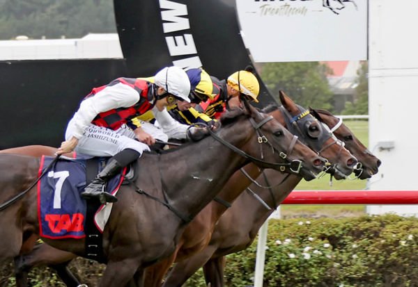 Provence (inside) scores a narrow victory in Saturday's Gr.1 TAB Mufhasa Classic (1600m) at Trentham. Photo: Peter Rubery (Race Images Palmerston North)
