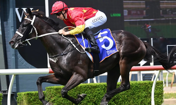 Providence opens his account at Wyong - image Bradley Photos