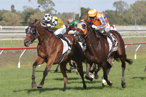 Prowess (inner) and Campionessa fight out the finish to the Gr.1 Bonecrusher New Zealand Stakes (2050m)