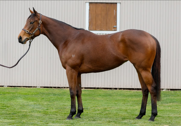 Prowess was sold today for $1,425,500.