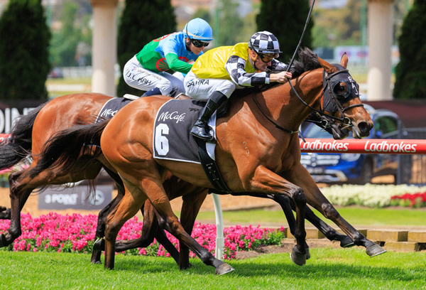 Prowess wins the G2 Crystal Mile last Saturday - image Grant Courtney