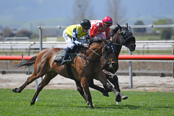 Group One winner Prowess (outside) pleased with her exhibition gallop at Matamata on Wednesday. Photo: Kenton Wright (Race Images)