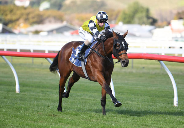 Prowess winning on debut at Wanganui. Photo: Peter Rubery (Race Images Palmerston North)