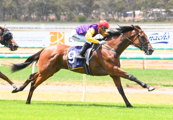 Pula openes her account with a stylish win at Bendigo - image Brett Holburt / Racing Photos