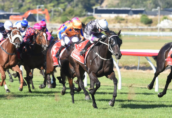 Pulchritudinous and Warren Kennedy soar to Group One Glory in the Al Basti Equiworld Dubai New Zealand Oaks (2400m) at Trentham on Saturday. Photo: Peter Rubery (Race Images Palmerston North)