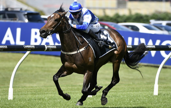 Pulsatilla winning the Listed Trevor & Corallie Eagle Memorial 3YO (1500m) at Ellerslie on Saturday.  Photo: Kenton Wright (Race Images)