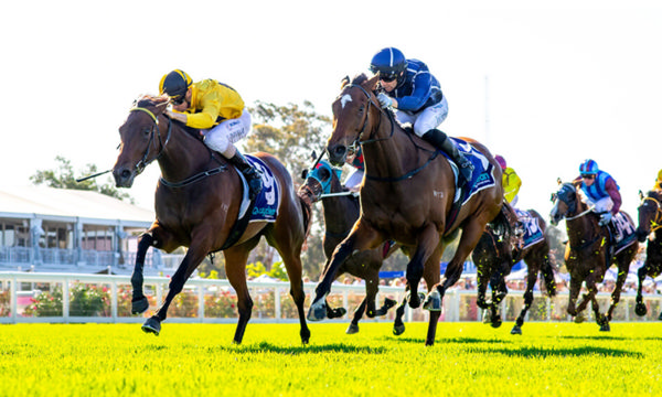 Pure Excess in yellow catches race favourite Talkanco to win the G3 Champion Fillies Stakes - image Western Racepix
