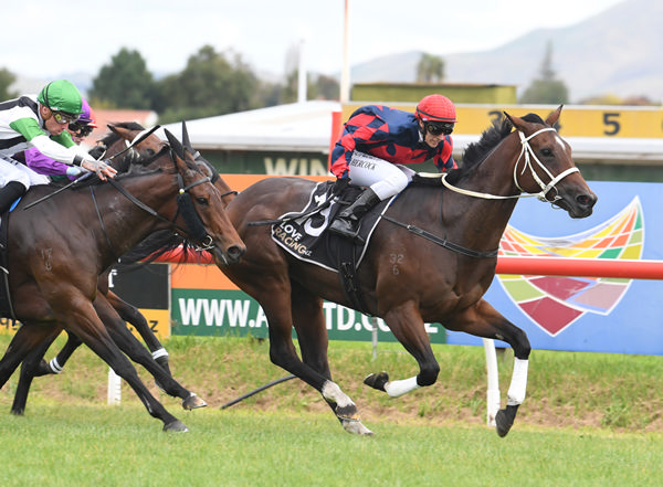 Pure Incanto proves too tough as she wins the Listed Power Turf Sprint (1200m) Photo: Race Images – Peter Rubery