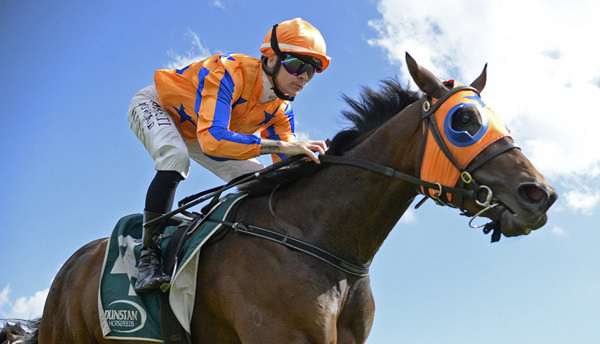 Qali Al Farrasha breaks through for a well-deserved stakes win in the Dunstan Horsefeeds Auckland Thoroughbred Breeders' Stakes (1400m). Photo: Kenton Wright (Race Images)
