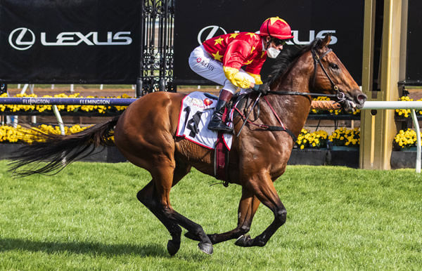Quantico wins his first stakes race at Flemington - image Grant Courtney. 