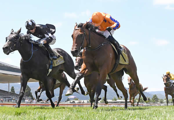 Quattro Quinta (right) holds out a brave Wolfgang  to win Wellesley Stakes (1000m) Photo Credit: Race Images – Peter Rubery