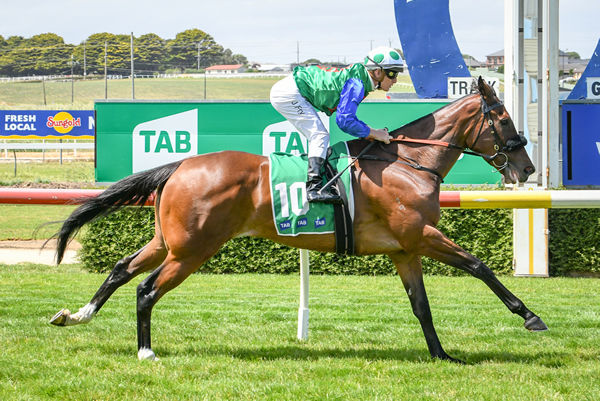 Queen Air breaks the ice at Warrnambool - image Alice Miles/ Racing Photos