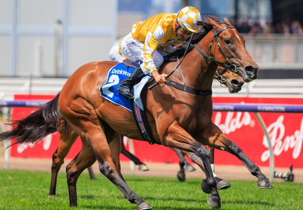 Queen of the Ball back to her best at Flemington - image Grant Courtney