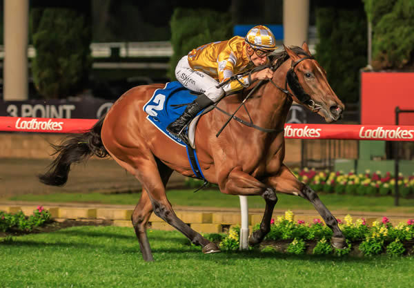 Queen Of The Ball - Scarborough Stakes (image Grant Courtney)
