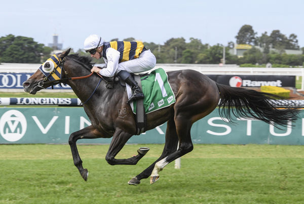 Quick Thinker wins the G2 Tulloch Stakes - image Steve Hart