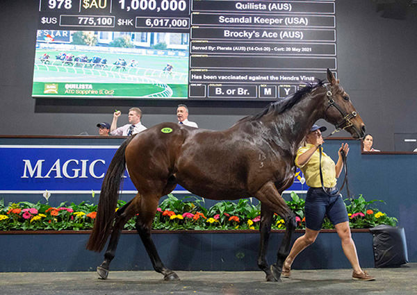 Session topper on Wednesday was Quilista selling in foal to Pierata for $1million.
