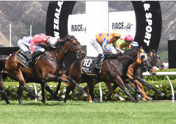 Opie Bosson guides Te Akau filly Quintessa to a deserved Gr.1 Cambridge Stud Levin Classic (1600m) victory.  Photo: Peter Rubery (Race Images Palmerston North)