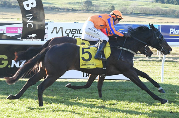 Quintessa will be one of three runners for Te Akau Racing in the Gr.1 Cambridge Stud Levin Classic (1600m) at Trentham on Saturday.  Photo: Peter Rubery (Race Images Palmerston North)