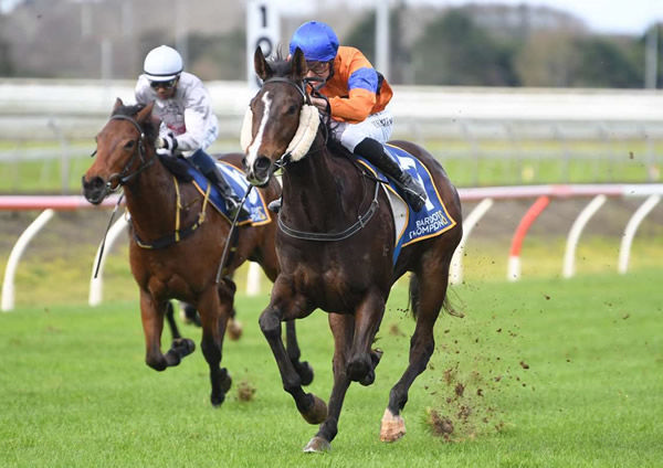 Quirky Habits will contest the Listed Ryder Stakes (1200m) at Otaki on Saturday. Photo: Kenton Wright (Race Images)
