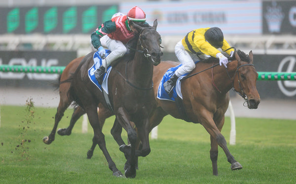 Street Boss Filly Calamari Ring Ploughs Through The Wet To Win RL Inglis Banner - Image Grant Courtney
