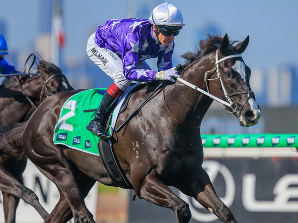 Crossbow Breaks His Maiden In Style - Image Barbour/Racing Photos